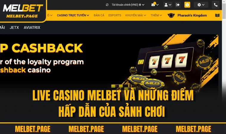 live casino melbet va nhung diem hap dan cua sanh choi Live casino MELBET và những điểm hấp dẫn của sảnh chơi