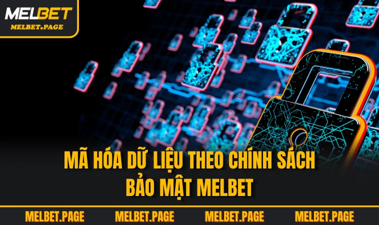 ma hoa du lieu theo chinh sach bao mat melbet Mã hóa dữ liệu theo chính sách bảo mật MELBET