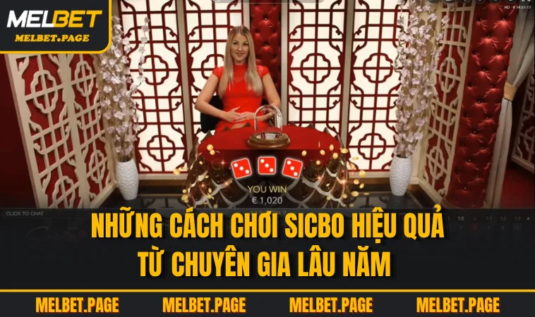nhung cach choi sicbo hieu qua tu chuyen gia lau nam Những cách chơi sicbo hiệu quả từ chuyên gia lâu năm